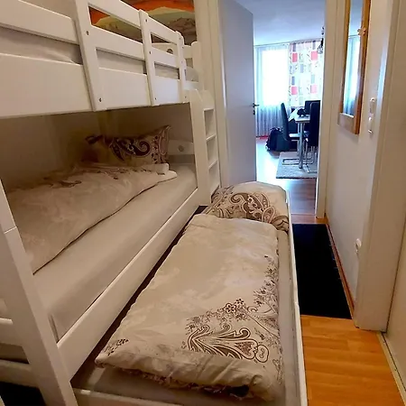 Apartment Eisvogelnest Sankt Englmar