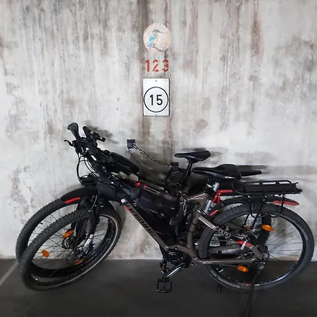 Appartamento Eisvogelnest